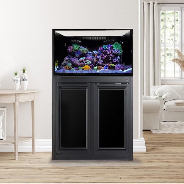 GlassCages Beginner Series 90 Gallon Tank & Stand (Build to Order) - Glass  Cages 