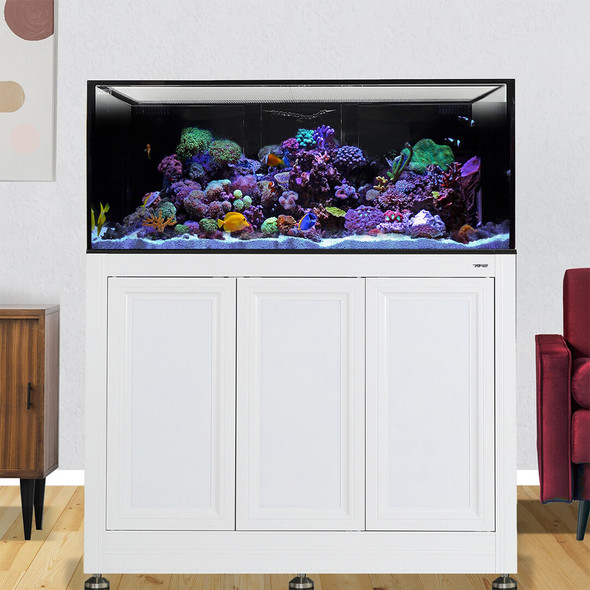 INT 150 Lagoon Aquarium w/ APS Stand - White (Made to Order) - Innovative Marine
