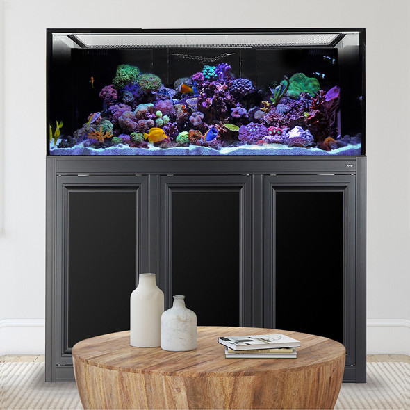 INT 170 Aquarium w/ APS Stand - Black (Made to Order) - Innovative Marine