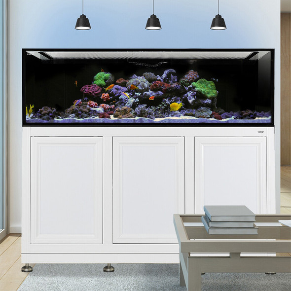 INT 200 Aquarium w/ APS Stand - White (Made to Order) - Innovative Marine