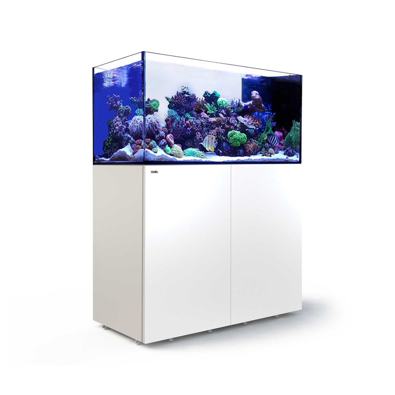 Reefer Peninsula 500 G2+ (108 Gal) White - Red Sea