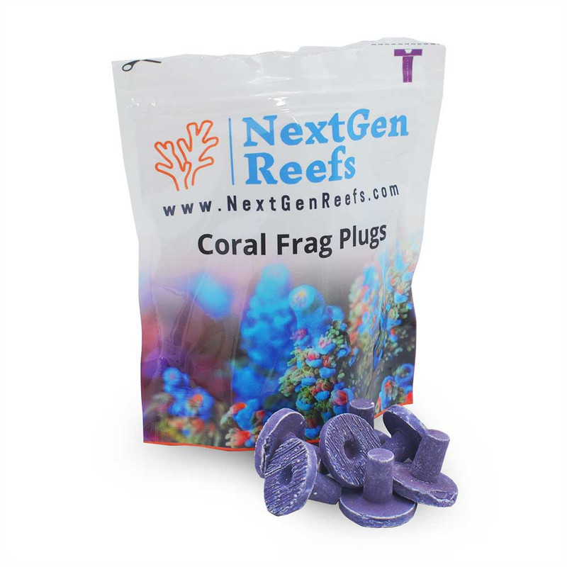 NextGen Ceramic Coral Frag Plugs 1" CORALLINE PURPLE (25 pc) - Oceans Wonders