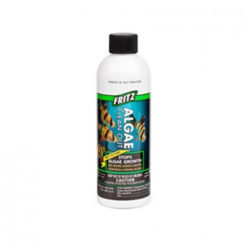 Algae Clean Out (8 oz) -  Fritz Aquatics