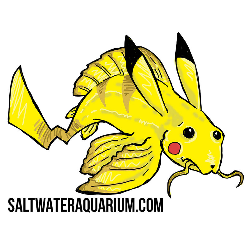 PLECO-CHU SaltwaterAquarium.com Sticker (FREE OVER $50) - SAQ.com