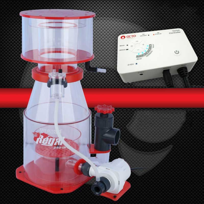 (OPEN BOX) Regal 250 INT Protein Skimmer (300-600 Gallons) - Reef Octopus