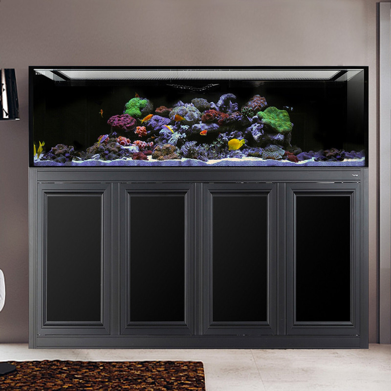 INT 240 Gallon Aquarium w/ APS Stand - Black (Made to Order) - Innovative Marine