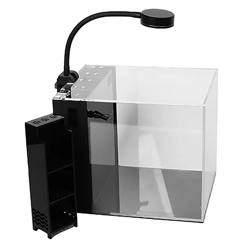 Glass Small-In-One XL 5 Gallon Desktop Aquarium - PNW Custom