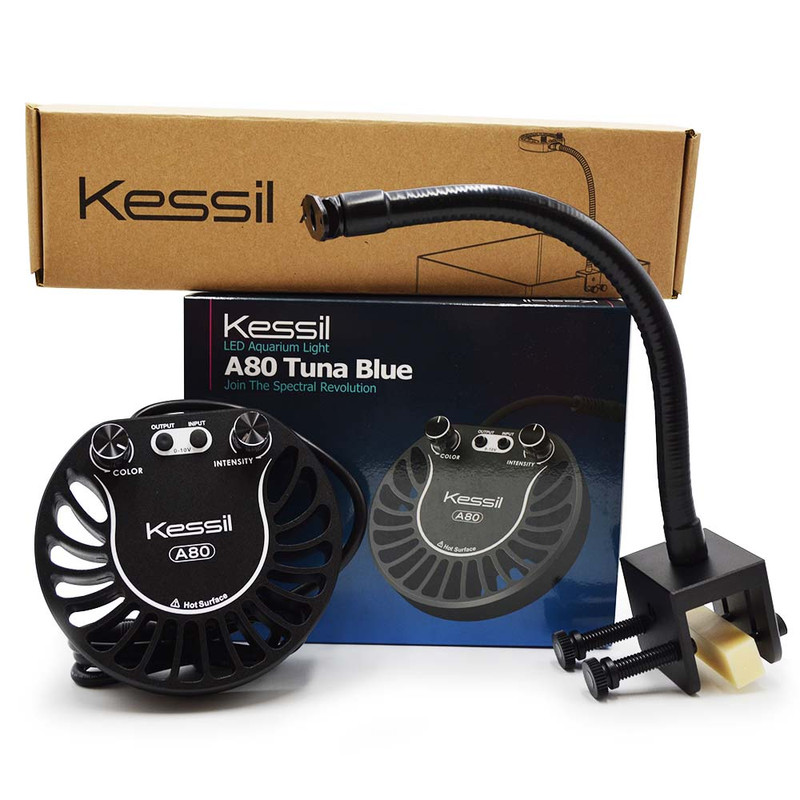 Kessil A80 Tuna Blue LED Aquarium Light with Mini Gooseneck Mount