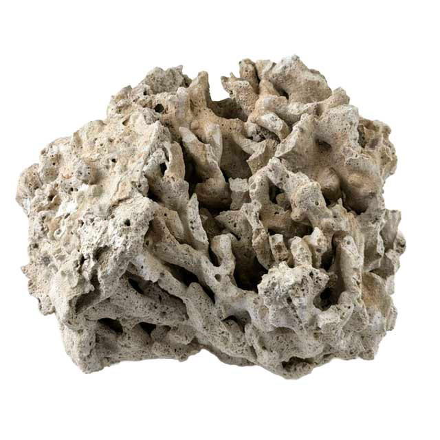 Genuine Fiji Pukani Dry Live Rock (20 lb Box) - Marco Rocks