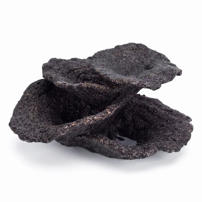 (SMALL) Mini Real Reef Turbinaria Cup MIDNIGHT BLACK Plate Coral Rock (1 piece) - Real Reef