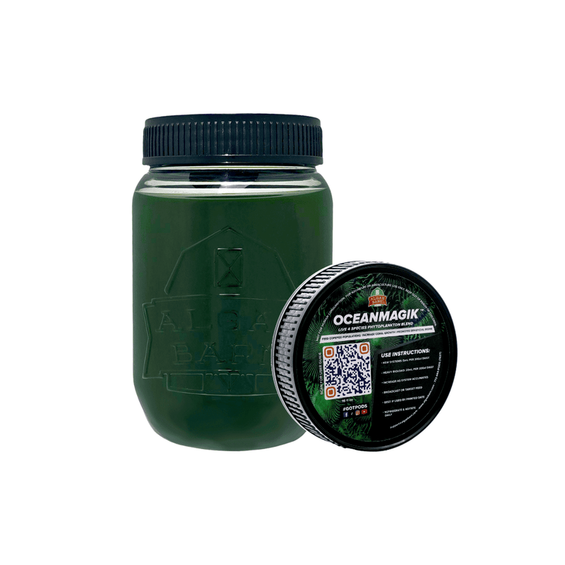 OceanMagik (16 oz) Live Phytoplankton 4 Species Blend - Algae Barn
