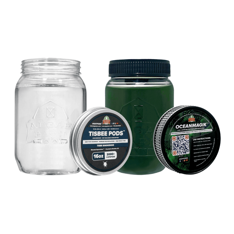 3000+ Tisbee Live Copepods & OceanMagik Phyto Combo Pack (16 oz of each) - Algae Barn