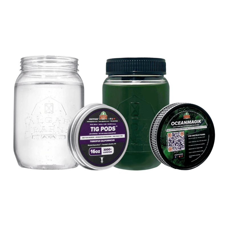 6000+ Tig Live Copepods & OceanMagik Phyto Combo Pack (32 oz of each) - Algae Barn