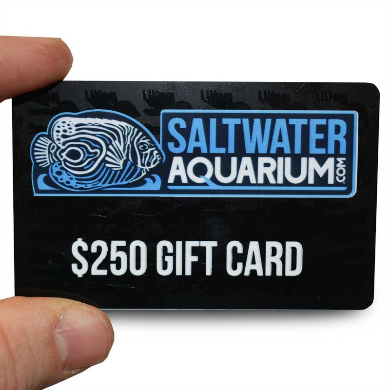 $250.00 Gift Card - SaltwaterAquarium