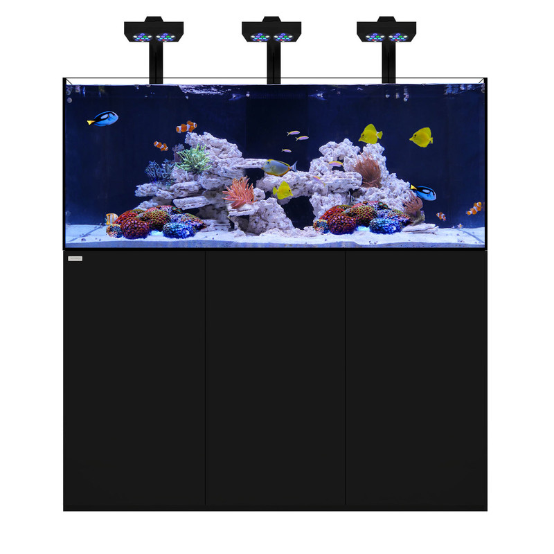 Reef Pro 180 5 Black Plus Edition Waterbox Saltwateraquarium Com reef pro 180 5 black plus edition waterbox