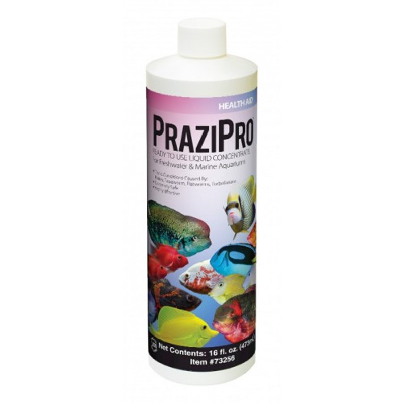 Prazipro (1 oz) Treats 120 Gallons - Hikari