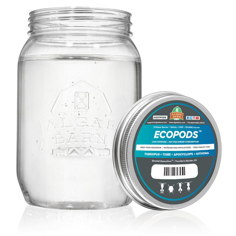 Ecopods (128 oz) Four Live Copepods Mix - Algae Barn