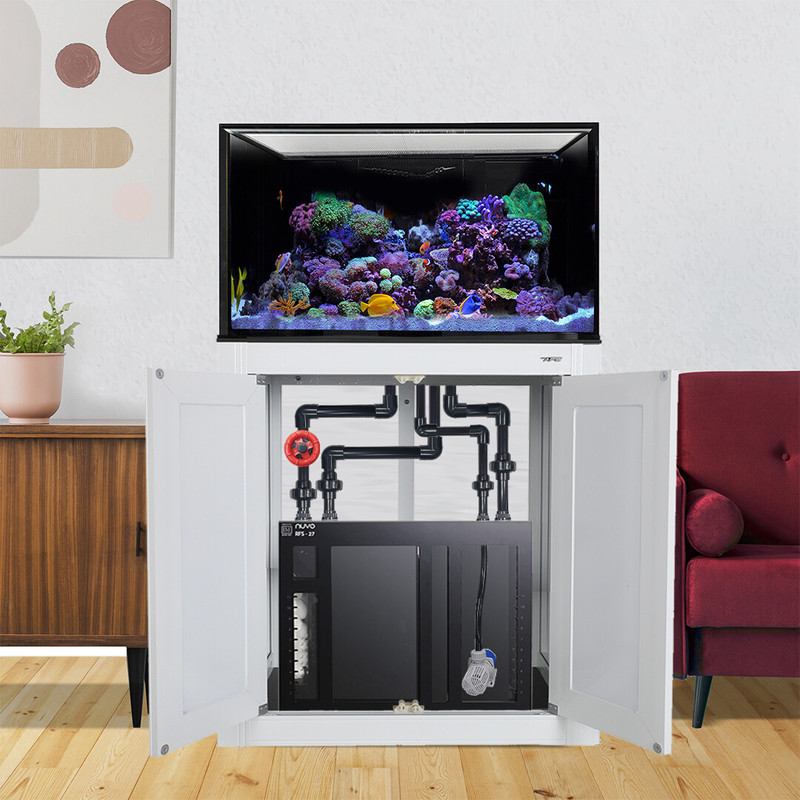 INT 75 Gallon Complete Reef System – White - Innovative Marine