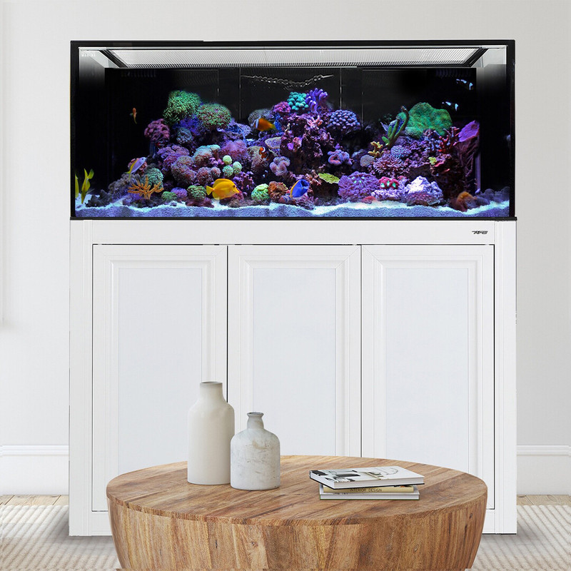 INT 170 Aquarium w/ APS Stand - White (Made to Order) - Innovative Marine