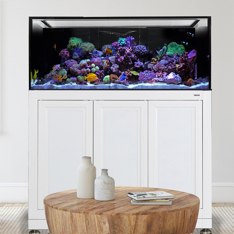 INT 170 Aquarium w/ APS Stand - White (Made to Order) - Innovative Marine