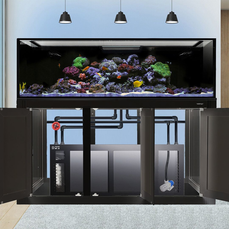 EXT 200 Gallon Complete Reef System – Black - Innovative Marine
