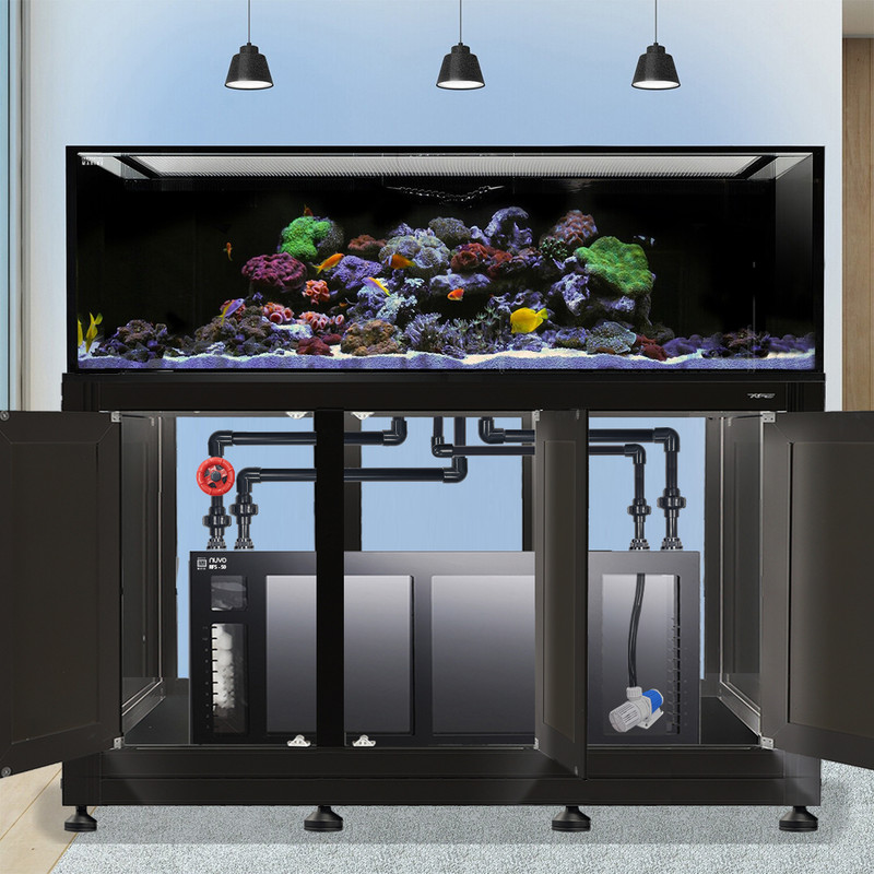 INT 200 Gallon Complete Reef System - Black (Made To Order) - Innovative Marine