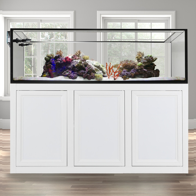 EXT 200 Peninsula Aquarium w/ APS Stand - White (Made to Order) - Innovative Marine