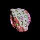 Fire and Ice War Favia Coral (3/4" - 1") - SAQ Coral Farm