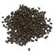 Benepellet Reef Large 3 mm Pellet Coral Food (1.3 oz) - Benepets