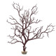 River Brown Manzanita Multi Branch 22" with Weighted Base (7394) - Current USA