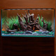 72" Inch Satellite Freshwater LED Plus Full Spectrum RGB+W Light for Aquariums (4509) - Current USA