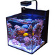 Max Nano XL G2 - 33 Gallon Aquarium (No Stand) - Red Sea