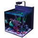 Max Nano XL G2 - 33 Gallon Aquarium (No Stand) - Red Sea