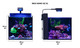 Max Nano XL G2 - 33 Gallon Aquarium (No Stand) - Red Sea