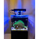 Acrylic Small In One 1 Gallon Desktop FRESHWATER Aquarium (Black) - PNW Customs
