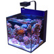 Black Max Nano Cube G2 - 20 Gallon Aquarium (Black Stand) - Red Sea
