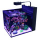 Max Nano Peninsula G2 - 26 Gallon Aquarium (No Stand) - Red Sea