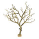 (OPEN BOX) Manzanita Branch Sandy Tan 22" with Weighted Base (7395) - Current USA