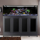 EXT 240 Aquarium w/ APS Stand - Black (Made to Order) - Innovative Marine