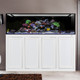 EXT 240 Aquarium w/ APS Stand - White (Made to Order) - Innovative Marine