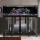 EXT 240 Gallon Complete Reef System – Black (Made To Order) - Innovative Marine