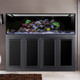 INT 240 Gallon Complete Reef System – Black (Made To Order ) - Innovative Marine