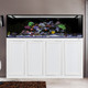 INT 240 Gallon Complete Reef System – White (Made To Order ) - Innovative Marine