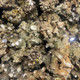 Real Ocean Direct Indo Red Cured Wild Live Rock (by the lb) Indonesian - Chicago