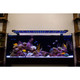 (OPEN BOX) Orbit Marine 18"- 24" Bluetooth IC LOOP PRO Dual LED System (4334) - Current USA