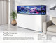 Black Mariner MP100 Gallon Rimless Peninsula Tank - Eshopps