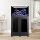 EXT 75 Lagoon Aquarium w/ APS Stand – Black - Innovative Marine