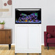INT 75 Lagoon Aquarium w/ APS Stand – White - Innovative Marine