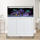 EXT 100 Lagoon Aquarium w/ APS Stand – White - Innovative Marine