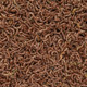 (EXPIRED) Freeze Dried Bloodworms Fish Food (1 oz) - San Francisco Bay Brand
